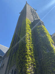 Northwest side and tower of the Sint-Willibrorduskerk church