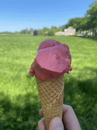 Ice cream at the terrace of the Bij Snoek shop at the Zwarte Dijk street