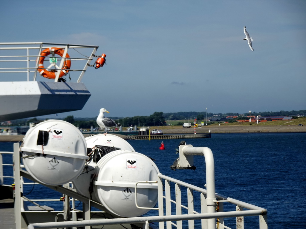 Seagulls at the deck of the fifth floor of the ferry from Den Helder, with a view on the TESO Ferry Port at `t Horntje