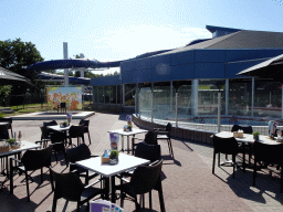 Terrace of the restaurant and outdoor pool of the Swimming Paradise Calluna at the Roompot Vakanties Kustpark Texel at De Koog