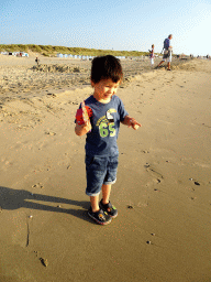 Max at the beach at Beach Pavilion Paal 20 at De Koog