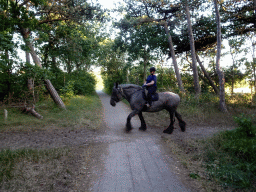 Horse and rider crossing the road at the Kamerstraat street at De Koog