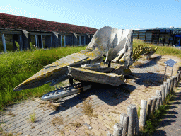Skeleton of a Sperm Whale in front of the Ecomare seal sanctuary at the Ruijslaan street at De Koog