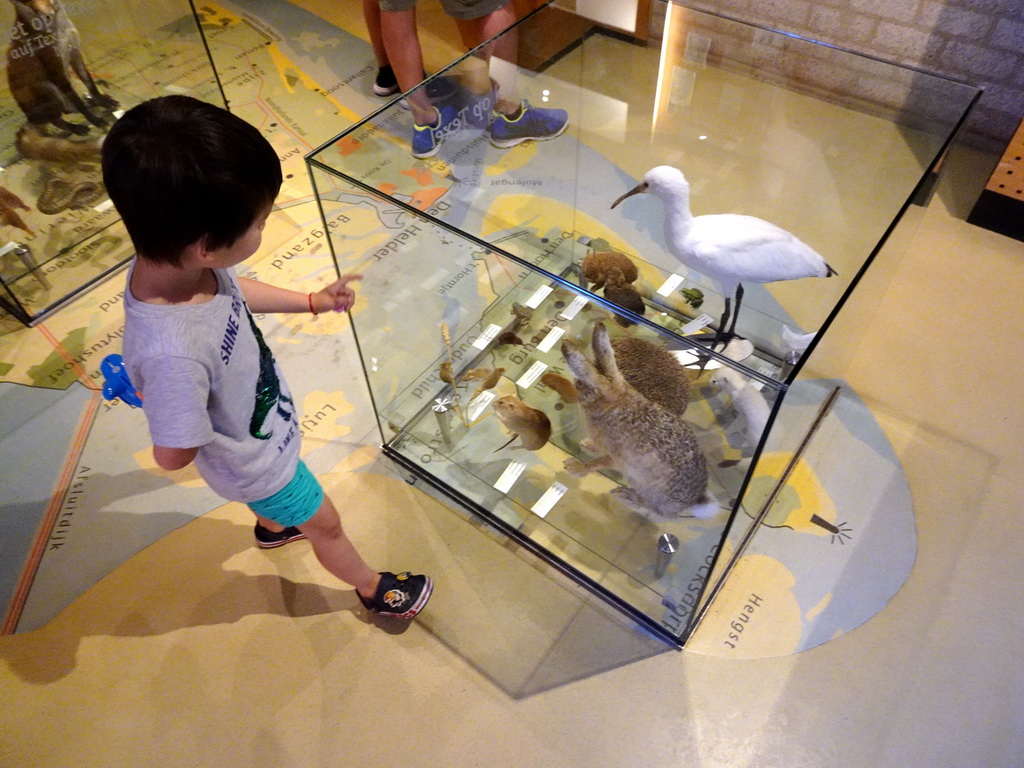 Max with stuffed animals at the Texel room at the Ecomare seal sanctuary at De Koog