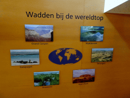 Information on the Wadden Sea at the Texel room at the Ecomare seal sanctuary at De Koog