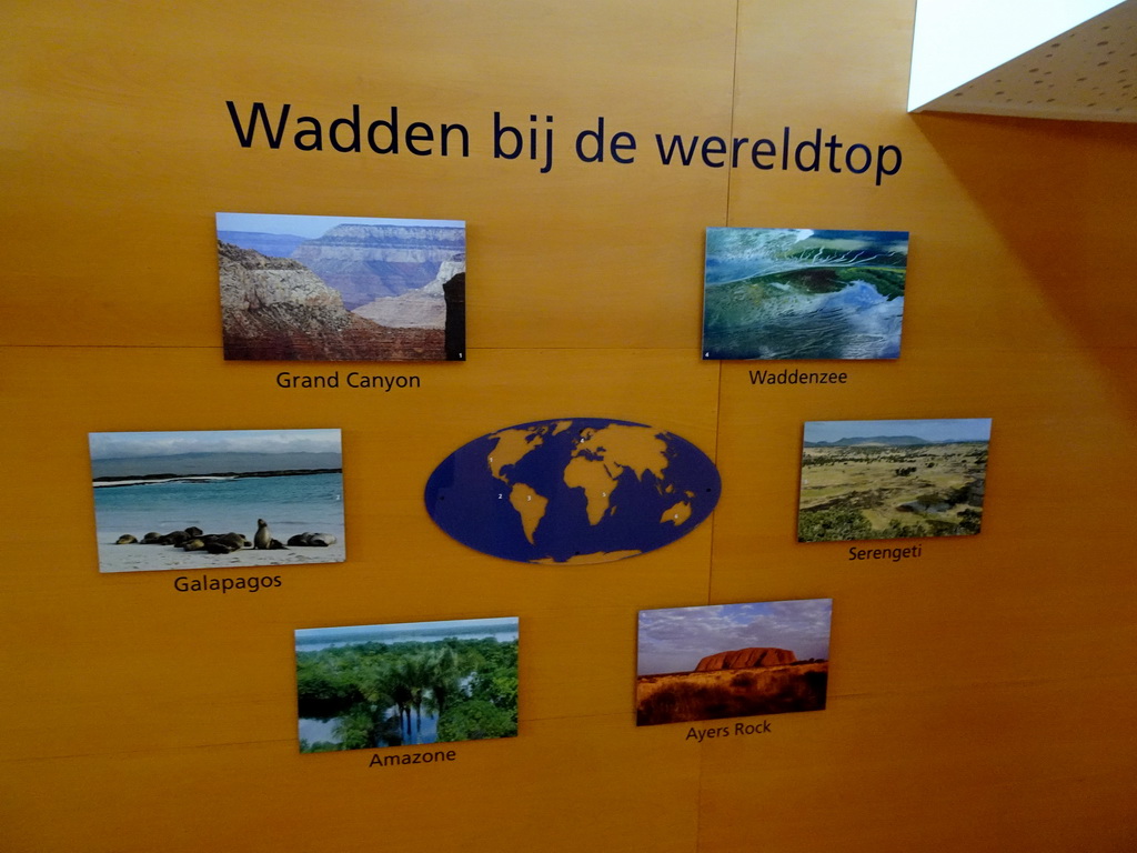 Information on the Wadden Sea at the Texel room at the Ecomare seal sanctuary at De Koog