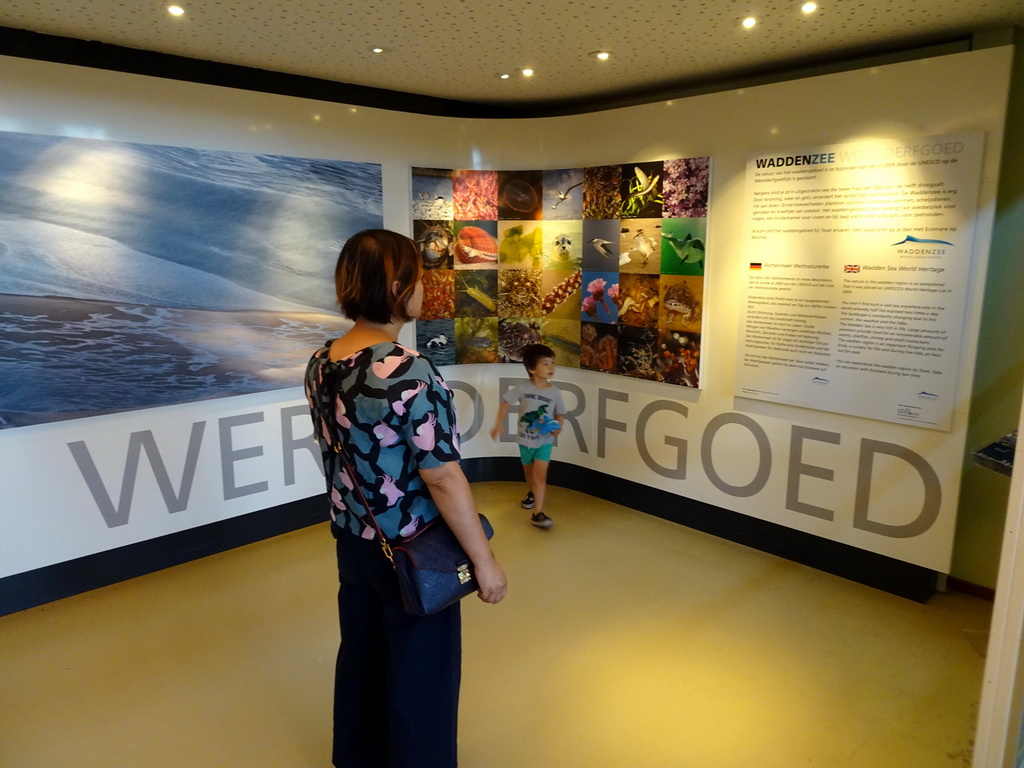 Miaomiao and Max with information on the UNESCO World Heritage status of the Wadden Sea at the Texel room at the Ecomare seal sanctuary at De Koog