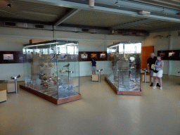 Interior of the the Vogelverdieping room at the Ecomare seal sanctuary at De Koog