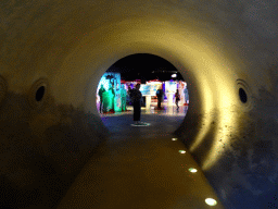 Miaomiao at the tunnel from the Texel room to the Waddenstad room at the Ecomare seal sanctuary at De Koog