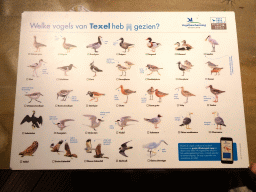 Information on the birds of Texel at the Waddenstad room at the Ecomare seal sanctuary at De Koog