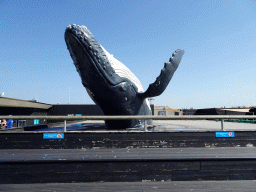 Whale statue at the Ecomare seal sanctuary at De Koog