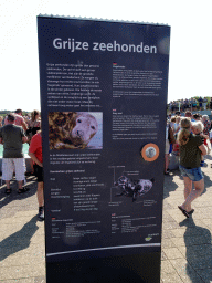 Information on the Grey Seal at the Ecomare seal sanctuary at De Koog
