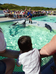 Max watching a zookeeper feeding the Harbor Seals at the Ecomare seal sanctuary at De Koog