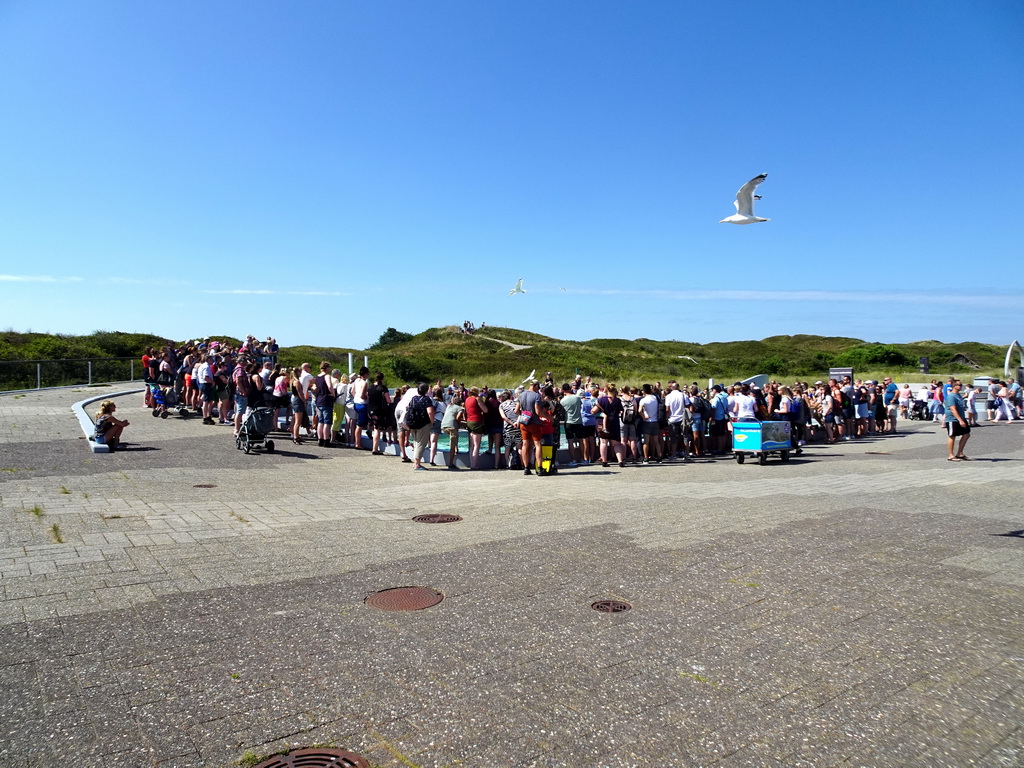 People watching the zookeeper feeding the Harbor Seals at the Ecomare seal sanctuary at De Koog