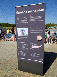 Information on the Harbor Seal at the Ecomare seal sanctuary at De Koog