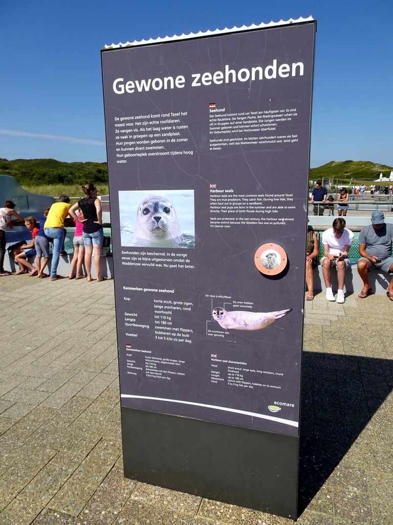 Information on the Harbor Seal at the Ecomare seal sanctuary at De Koog