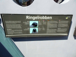 Information on the Ringed Seal at the Ecomare seal sanctuary at De Koog