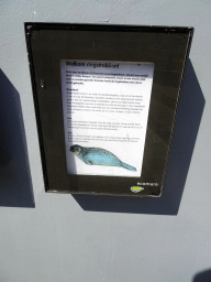 Information on the Ringed Seal at the Ecomare seal sanctuary at De Koog