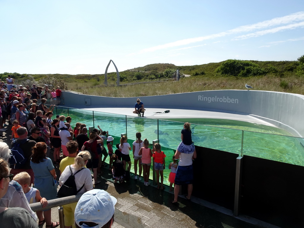 Zookeeper feeding the Ringed Seals at the Ecomare seal sanctuary at De Koog