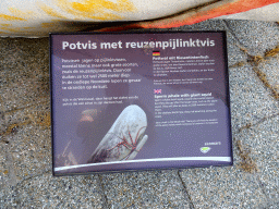 Explanation on the Sperm Whale with Giant Squid at the Ecomare seal sanctuary at De Koog