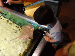 Max with a Stingray at the Sea Aquarium at the Ecomare seal sanctuary at De Koog