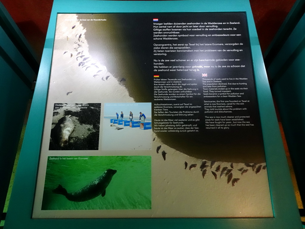 Information on Seals in the Wadden Sea at the Sea Aquarium at the Ecomare seal sanctuary at De Koog