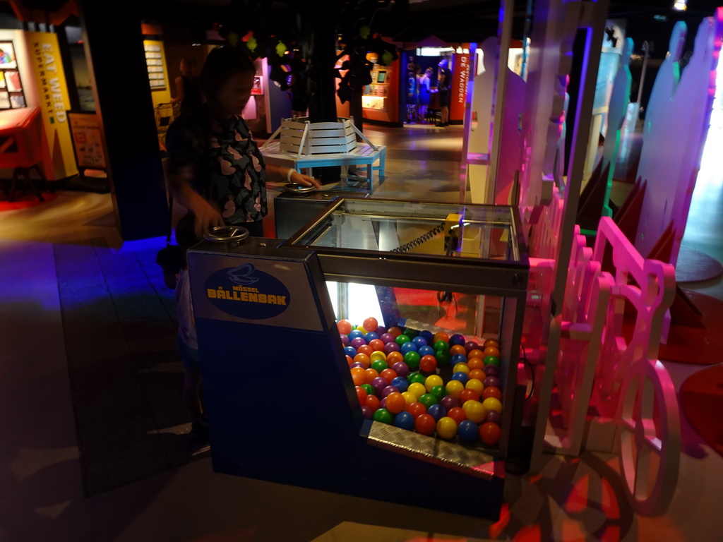 Miaomiao playing a game at the Mössel Woonwinkel area at the Waddenstad room at the Ecomare seal sanctuary at De Koog