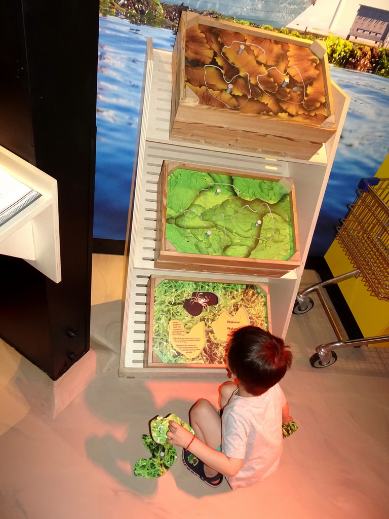 Max playing a game at the Eat Weed area at the Waddenstad room at the Ecomare seal sanctuary at De Koog