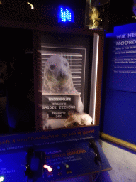 The Politiebureau area at the Waddenstad room at the Ecomare seal sanctuary at De Koog