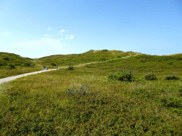 Dunes at the Dune Park at the Ecomare seal sanctuary at De Koog