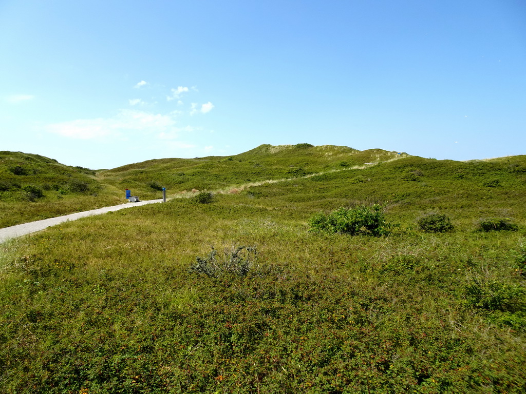 Dunes at the Dune Park at the Ecomare seal sanctuary at De Koog