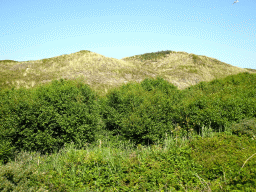 Dunes at the Dune Park at the Ecomare seal sanctuary at De Koog