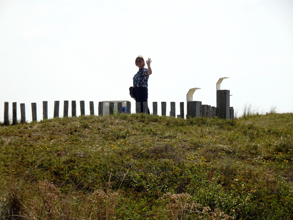 Miaomiao at the dunes at the Dune Park at the Ecomare seal sanctuary at De Koog