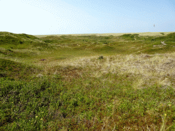 Dunes at the Dune Park at the Ecomare seal sanctuary at De Koog