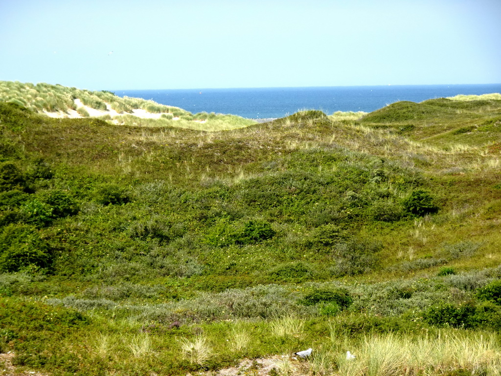 Dunes at the Dune Park at the Ecomare seal sanctuary at De Koog