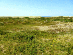 Dunes at the Dune Park at the Ecomare seal sanctuary at De Koog