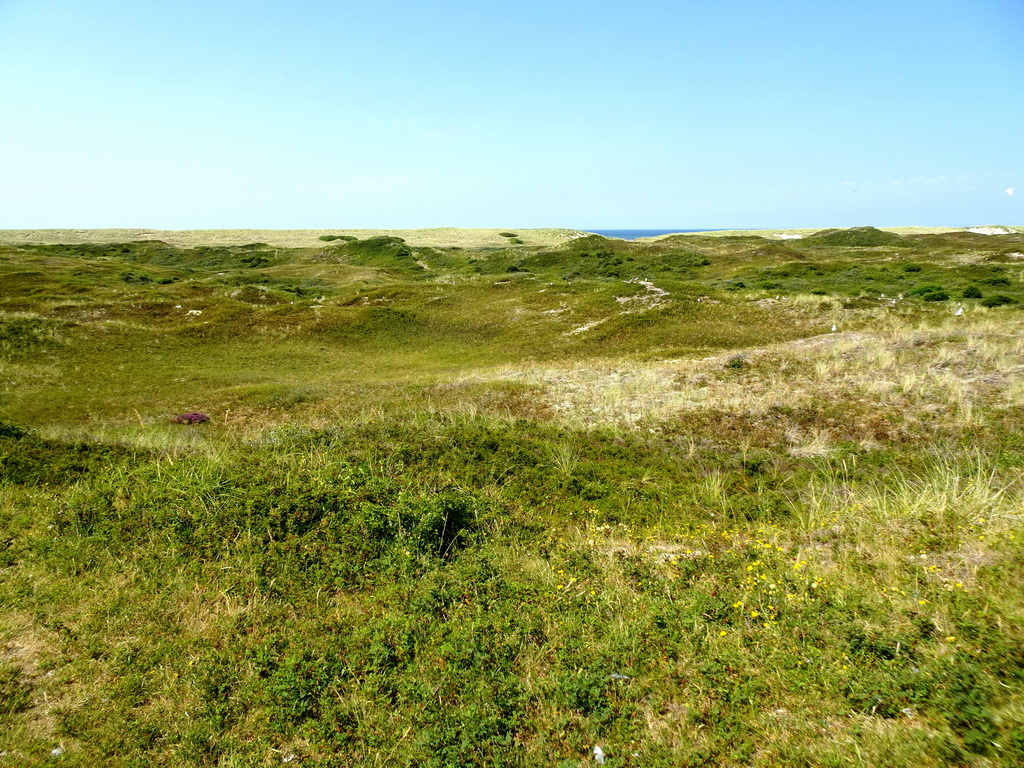 Dunes at the Dune Park at the Ecomare seal sanctuary at De Koog