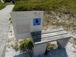 Information on the Harrier at the Dune Park at the Ecomare seal sanctuary at De Koog