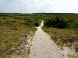 Max at the dunes at the Dune Park at the Ecomare seal sanctuary at De Koog