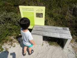 Max with information on the Tundra Vole at the Dune Park at the Ecomare seal sanctuary at De Koog