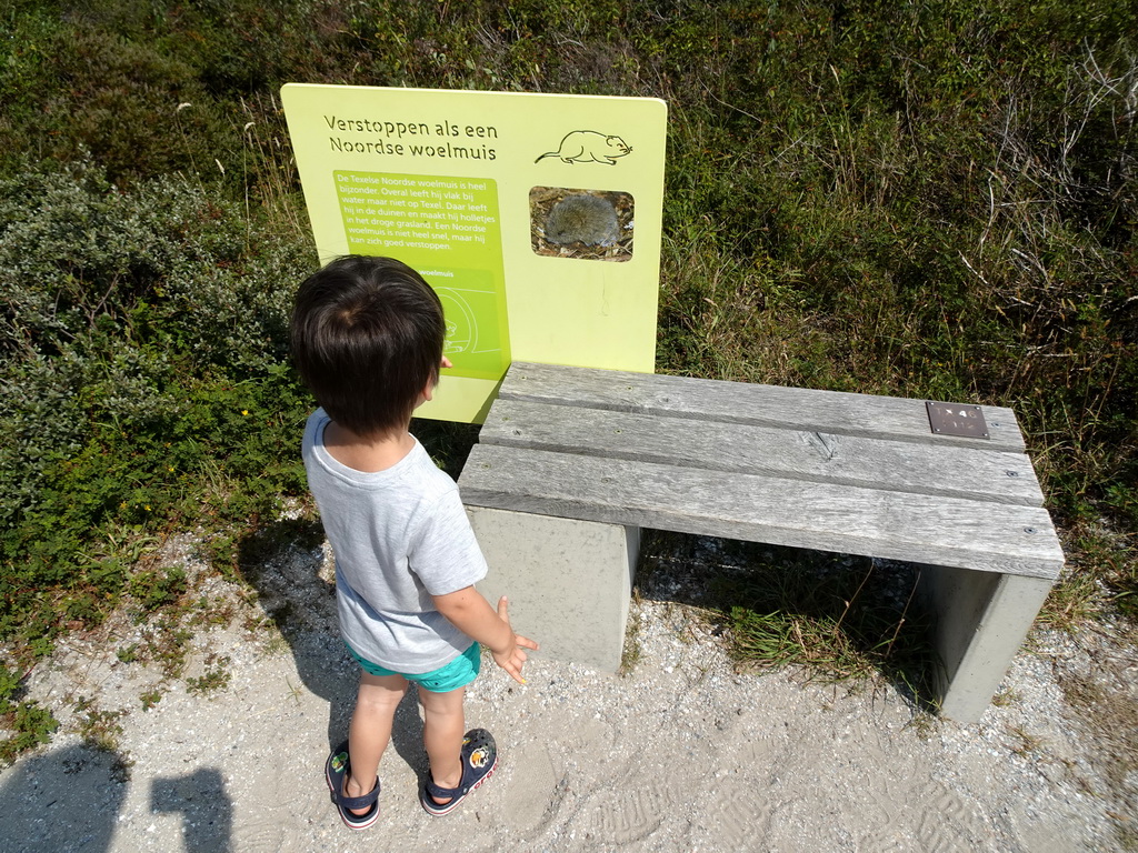 Max with information on the Tundra Vole at the Dune Park at the Ecomare seal sanctuary at De Koog
