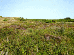 Miaomiao at the dunes at the Dune Park at the Ecomare seal sanctuary at De Koog