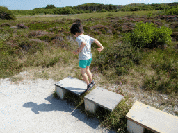Max jumping on a bench at the Dune Park at the Ecomare seal sanctuary at De Koog