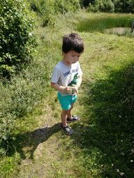 Max at the dunes at the Dune Park at the Ecomare seal sanctuary at De Koog