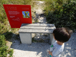Max with information on the Cinnabar Caterpillar at the Dune Park at the Ecomare seal sanctuary at De Koog