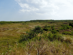 Dunes at the Dune Park at the Ecomare seal sanctuary at De Koog