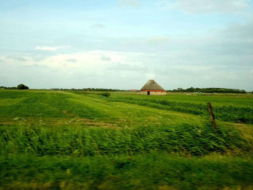 Farm and grassland at the Kogerweg street at Den Burg, viewed from the car