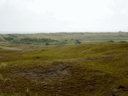 Dunes at the east side of the Lighthouse Texel at De Cocksdorp, viewed from the Vuurtorenweg road