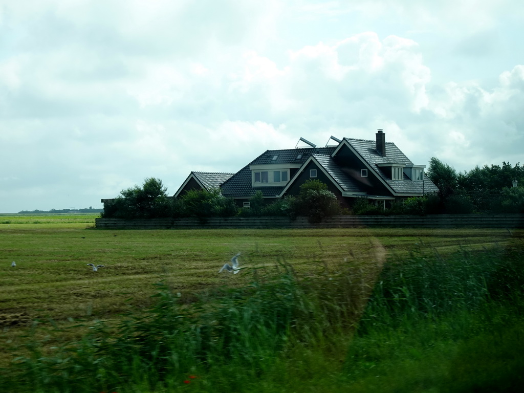 Farm at the Slufterweg road at De Cocksdorp, viewed from the car