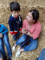 Miaomiao and Max with a chick at the Texel Sheep Farm at Den Burg